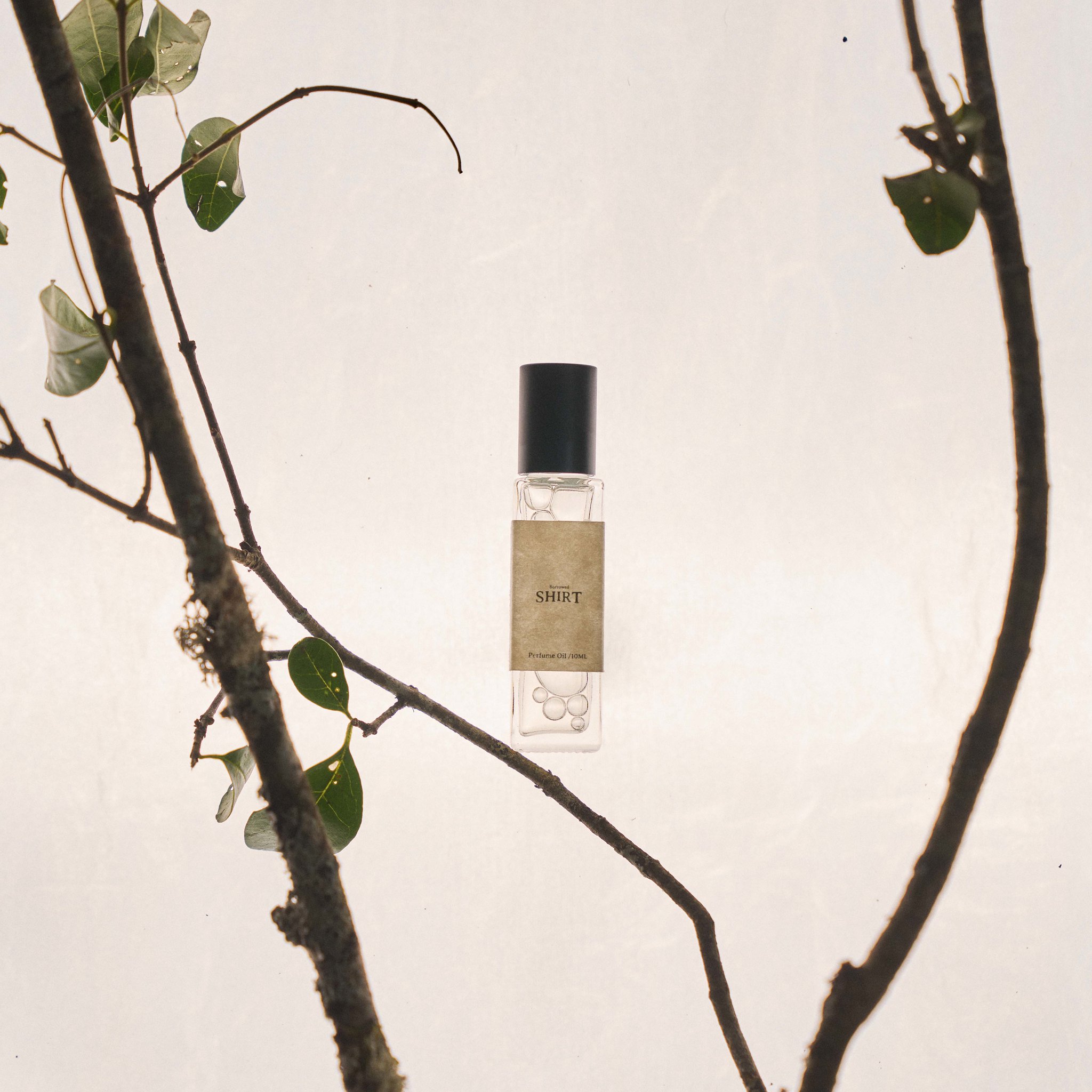 滾珠香氛油 晨光寓物 #10【木質調】